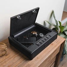 RPNB Gun Safe for Pistols Biometric Gun Safe with 3 Access Ways for 2 Pistols 🔥