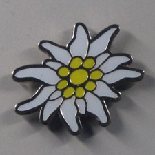 Metall Kühlschrank - Magnet Edelweiß