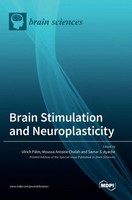 Brain Stimulation And Neuroplasticity | Buch | Englisch (2022) | Gebunden