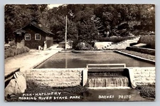 RPPC Roaring River State Park Fish Hatchery Missouri Real Photo P620 Barnes