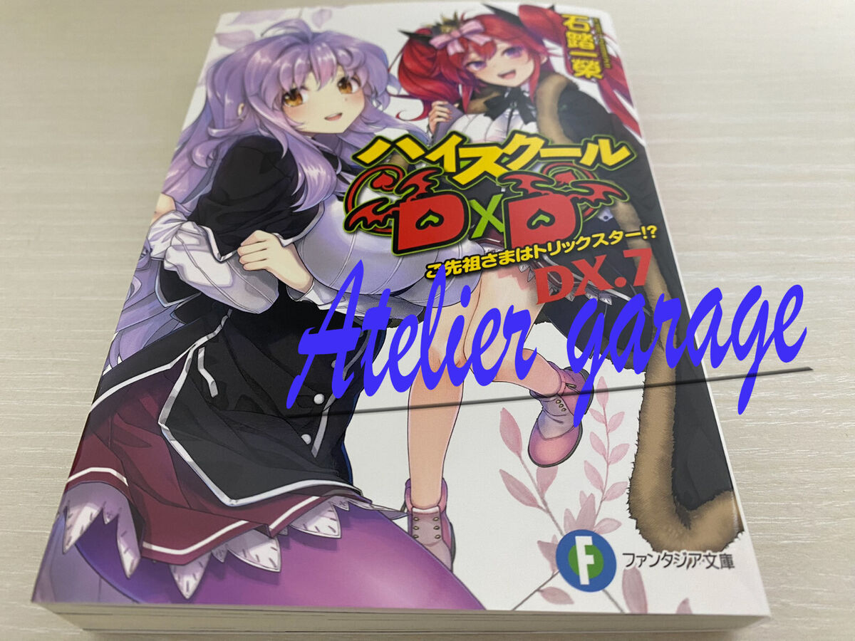 Light Novel Thursday: High School DxD Volume 10