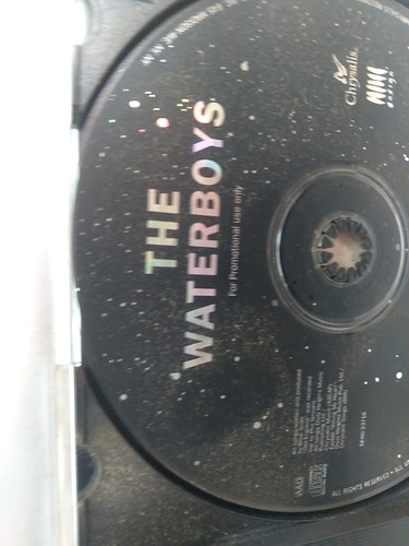 The Waterboys - The Whole of The Moon (CD, Single, 1991) Promo - Picture 15 of 24