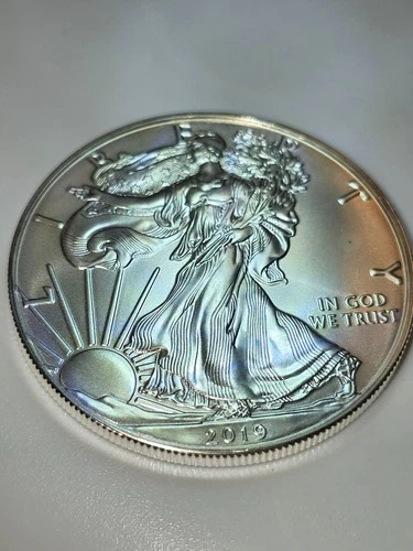 2019 Walking Liberty One Dollar " Excellent Coin"