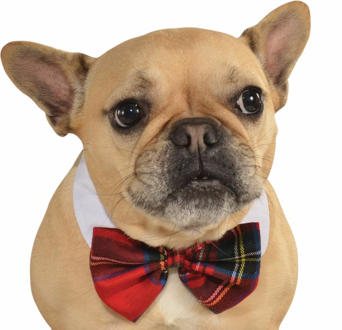 Rubie's Red Plaid Pet Christmas Bowtie