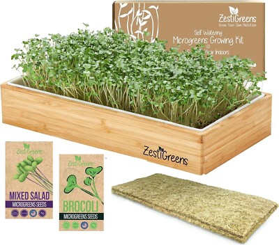 Space-Efficient Self-Watering Microgreens Growing Tray for Fresh Home Greens