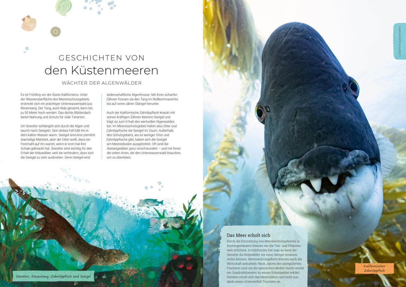 Thumbnail - Unser Planet | Matt Whyman | Buch | 96 S. | Deutsch | 2020 | Ean