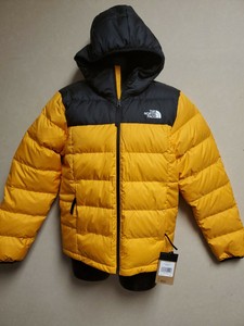 the north face men's alpz luxe winter jacket