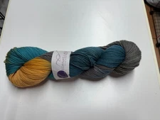 Lorna's Laces Shepherd Sock Yarn - Reno - 1313