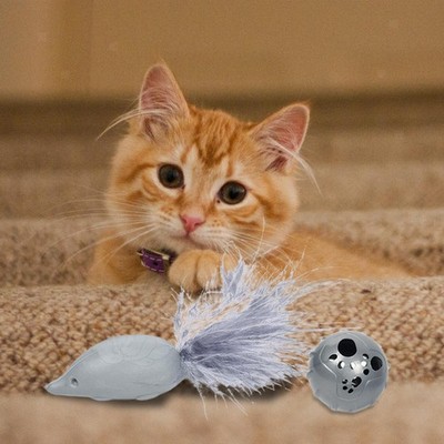 Pet Supplies Pet Cat Toy Chase Exercise mit Bell Playing Tease Cat Interaktives
