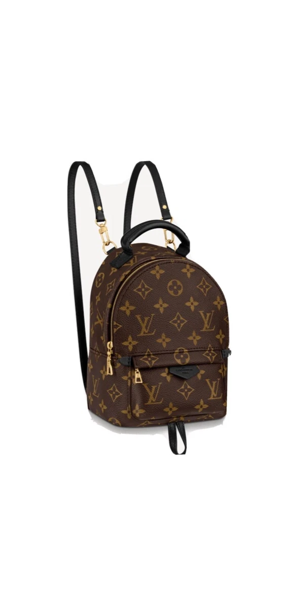 Louis Vuitton Mini Monogram Palm Springs Backpack