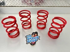 Tender Spring Kit, Polaris RZR 1000XP 2 Seater