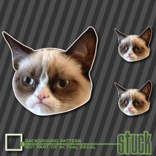 Frown Cat Decal 3 Pack - Meme Funny Sad Cats Nerd Trending Illest Sticker Fresh