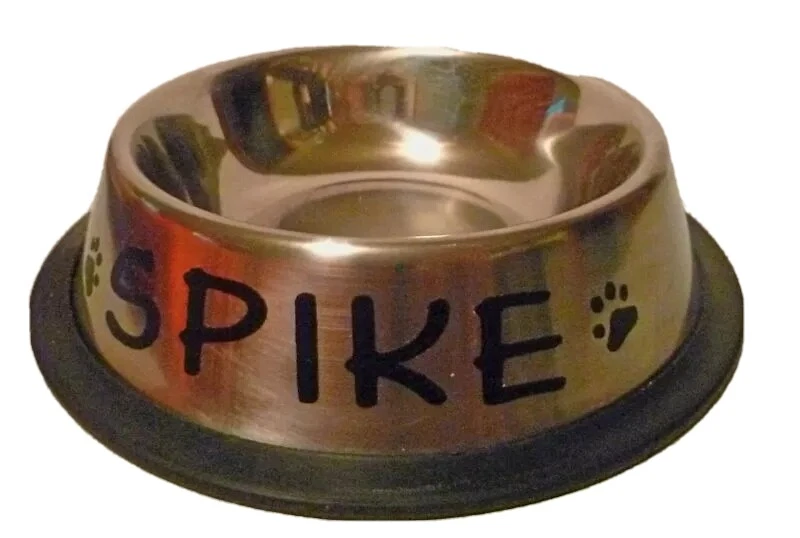 PERSONALIZADO 24 OZ (1 1/2 pinta) ACERO INOXIDABLE antideslizante ¡TAZÓN PARA PERROS!!   Foto 2 de 4