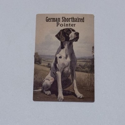 German Shorthaired Pointer Dog Sticker Animal Art Decal Novelty Paint Style Tc9