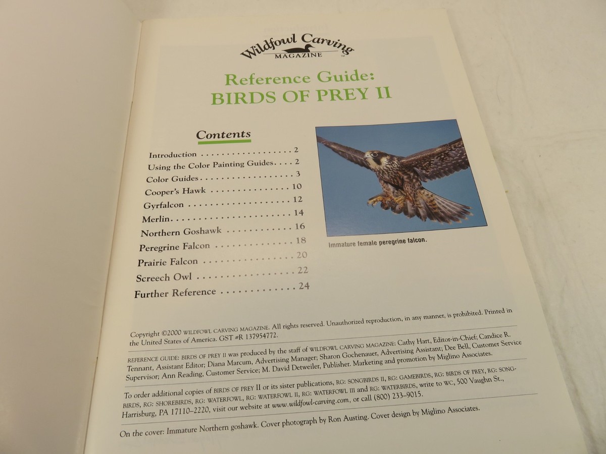 Wildfowl Carving Magazine Collect Reference Guide Song Shore Game