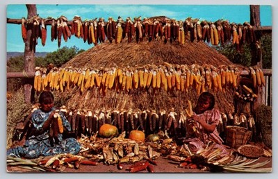Native American Postcard Fort Apache, Arizona Harvest Apache Indians USA UNP