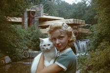 Vintage Photo of BEAUTIFUL  woman with CAT at  FRANK LLOYD WRIGHT home 383