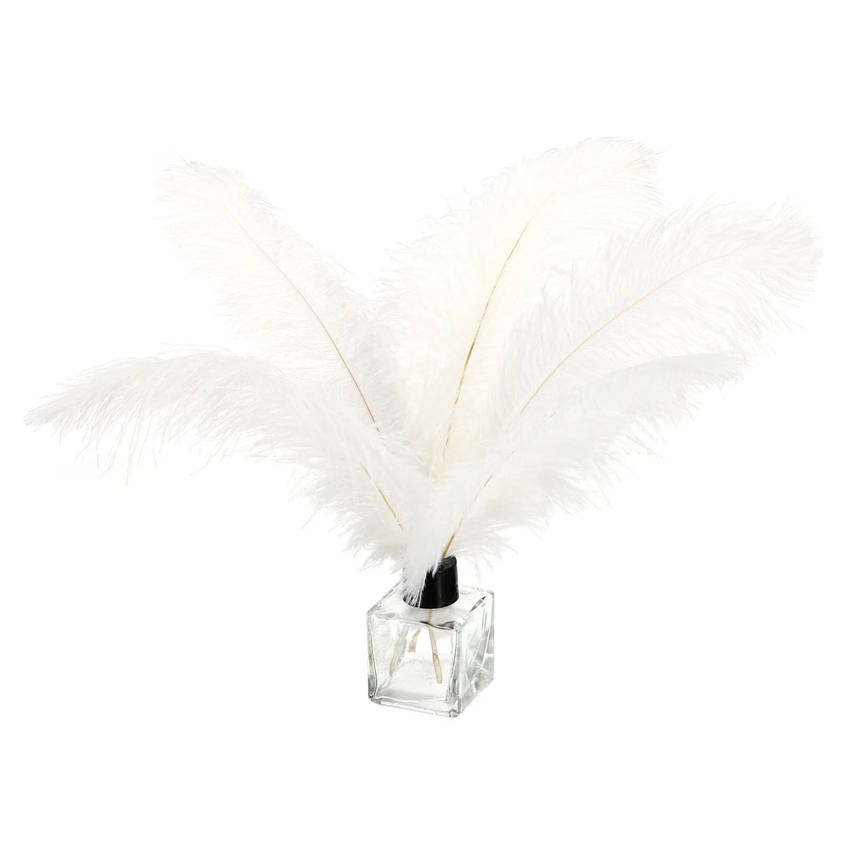 Where to buy best sale white ostrich feathers