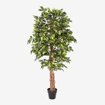 6 Fuß hoher künstlicher Ficusbaum lebensechte Kunstpflanze Innendekoration