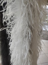 OSTRICH BOA Ivory White, 3 Ply, 6' Long