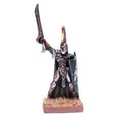 Elf Palace Guard Prince - Kings of War Mantic Elves D&D DND Fantasy Mini YHP