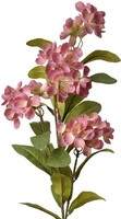 Clayre & Eef 6PL0344P Dekozweig Mit Blumen Rosa GrüN 17X14X70 Cm