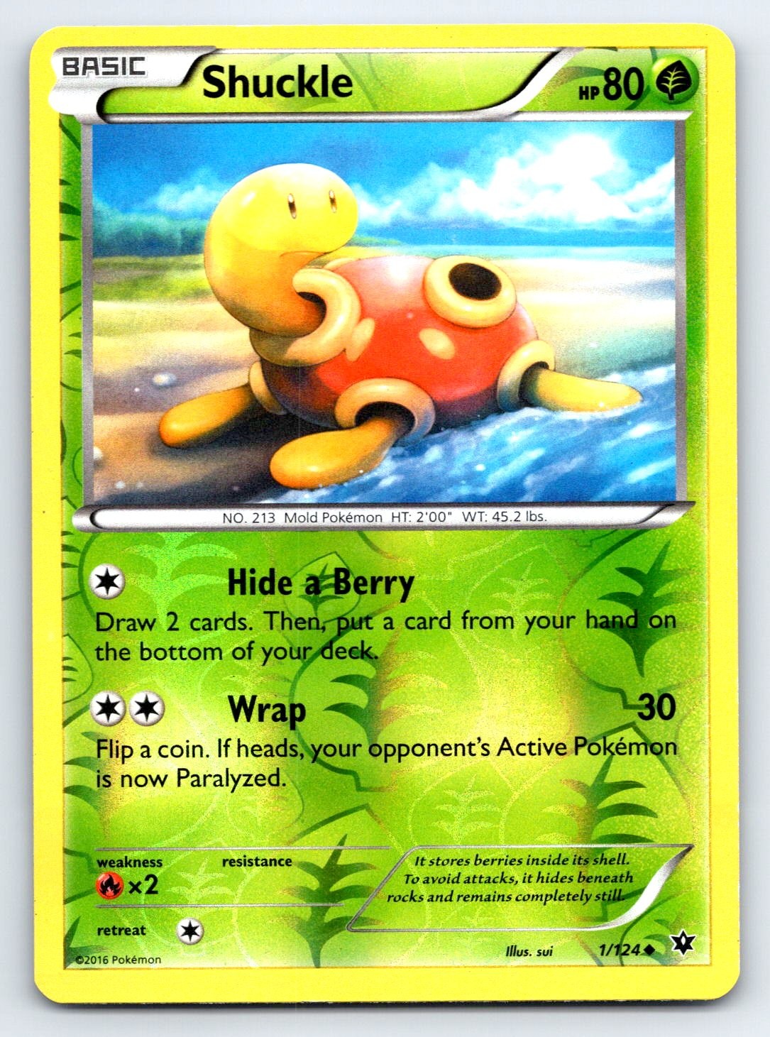 Pokemon Shuckle XY - Fates Collide FCO Reverse Holo 1/124 LP TCG