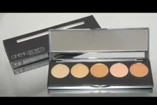 CINEMA SECRETS ~ ULTIMATE Color CORRECTOR  5 in 1 PALETTE #1 - FPK01 *BRAND NEW!