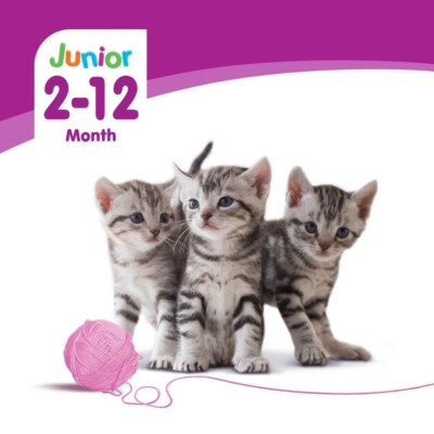 WHISKAS Junior Mackerel Flavor with Milk Kitten Food  1.1 kg Dry Cat Food.