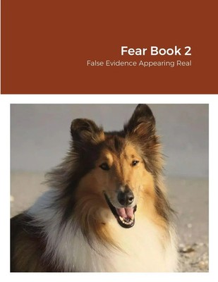 Fear Book 2 False Evidence Appearing Real Danise Mcphearson Taschenbuch Englisch