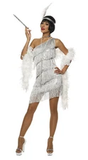 ROARING 20'S ADULT WOMEN SILVER DAZZLING FLAPPER GATSBY CHARLESTON COSTUME DRESS
