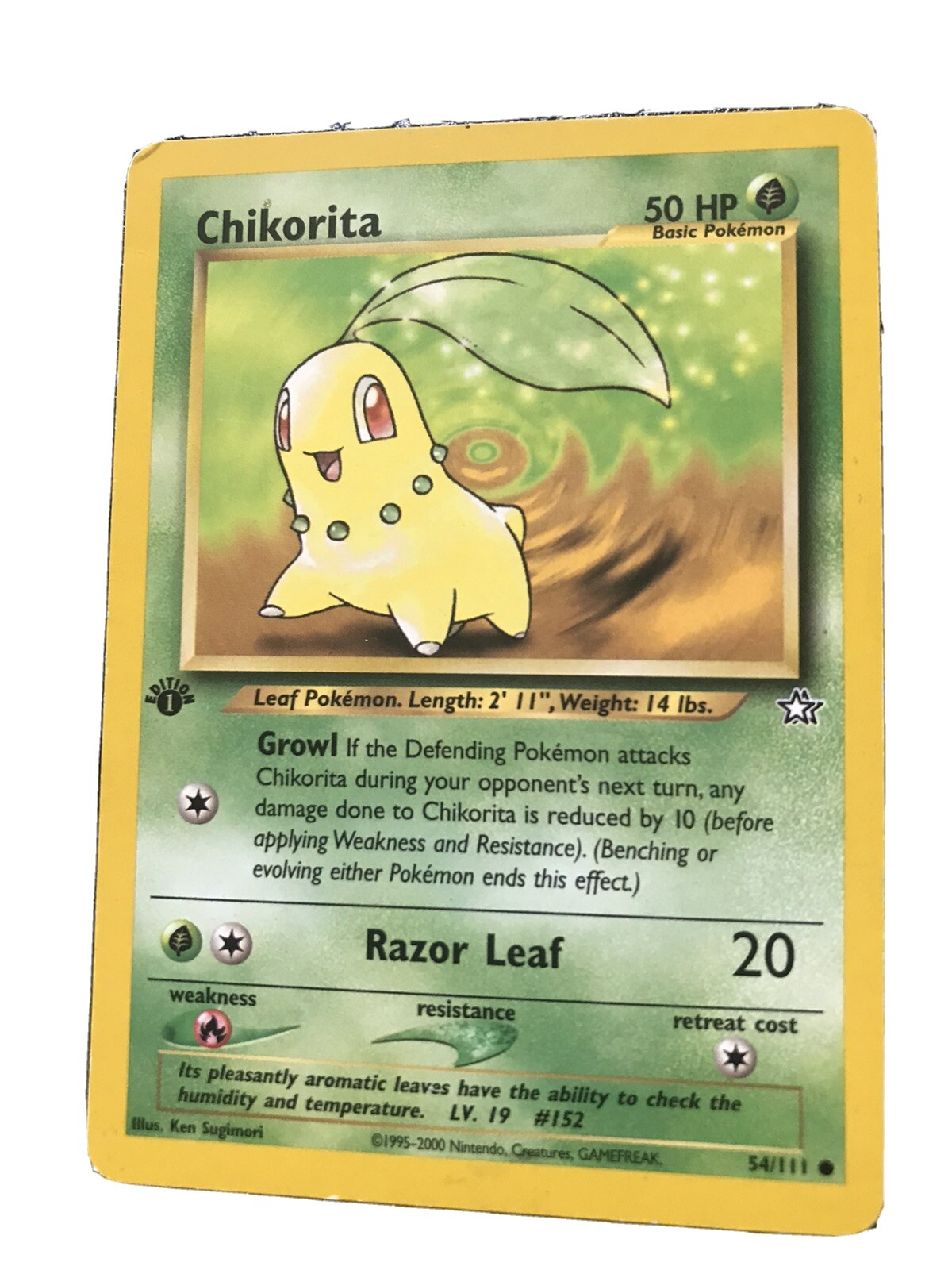 1st Edition Chikorita Neo Genesis 54 Regular Common NM