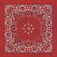 Rustic Red Paisley 27x27 Bandanna