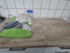 Bild 6 von 7