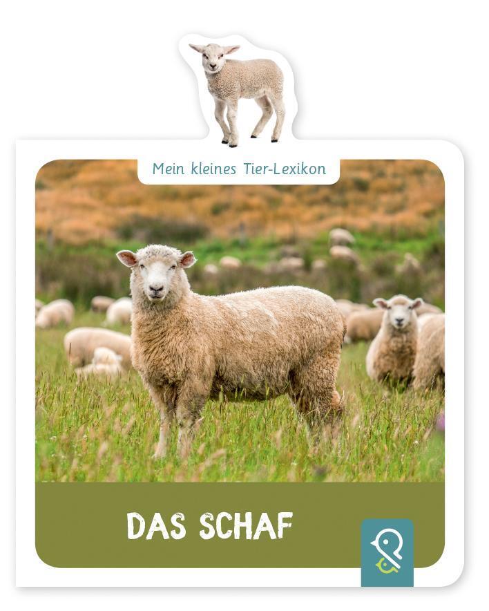 Thumbnail - Mein Kleines Tier-lexikon - Das Schaf Mein Kleines Tier-lexikon