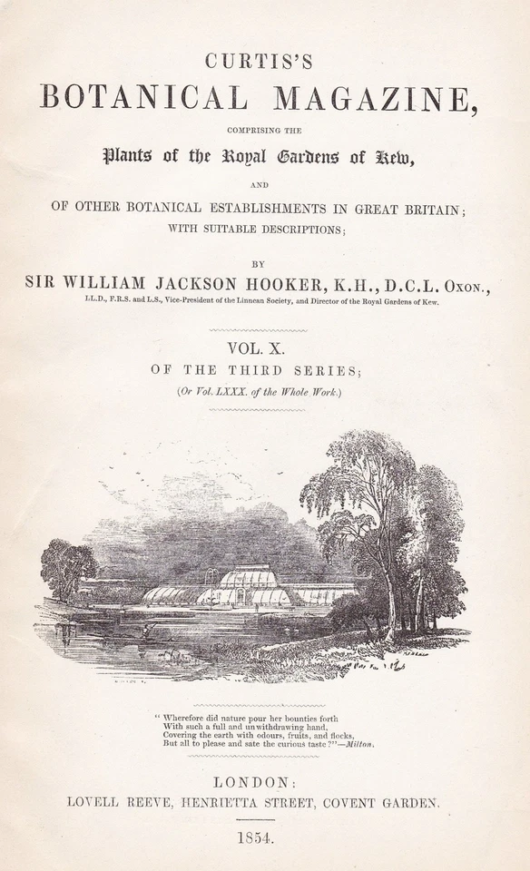 Titelblatt Titel title page Botanical Magazine botany Vol. X Curtis 1854 - Bild 1 von 1