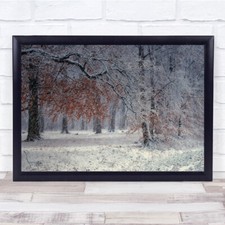 Landscape Snowstorm Winter Netherlands Snowy Frost Frozen Wall Art Print