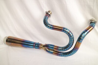 Full Exhaust System 2 into 1 Fit For Harley Davidson Sportster 1200 |  Gnarly