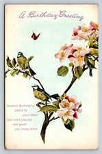 Birds on Flowered Branch with Butterfly Birthday Greeting Vintage Postcard 1062