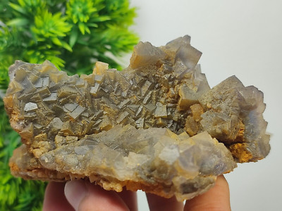 578 Gram Beautiful Natural Fluorite Mineral  Crystal Specimen From Pakistan
