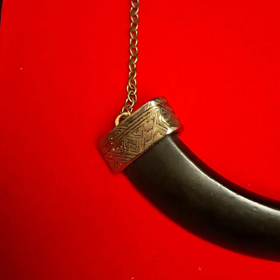 Venta Inmobiliaria Encuentra Casa de Harlow 1960 Cuerno Horizontal Colgante Collar Kolye Foto 3 de 4