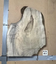 Maple Live Edge Slab | 2" Thick | Kiln Dried And Flattened | Ships FREE | M112