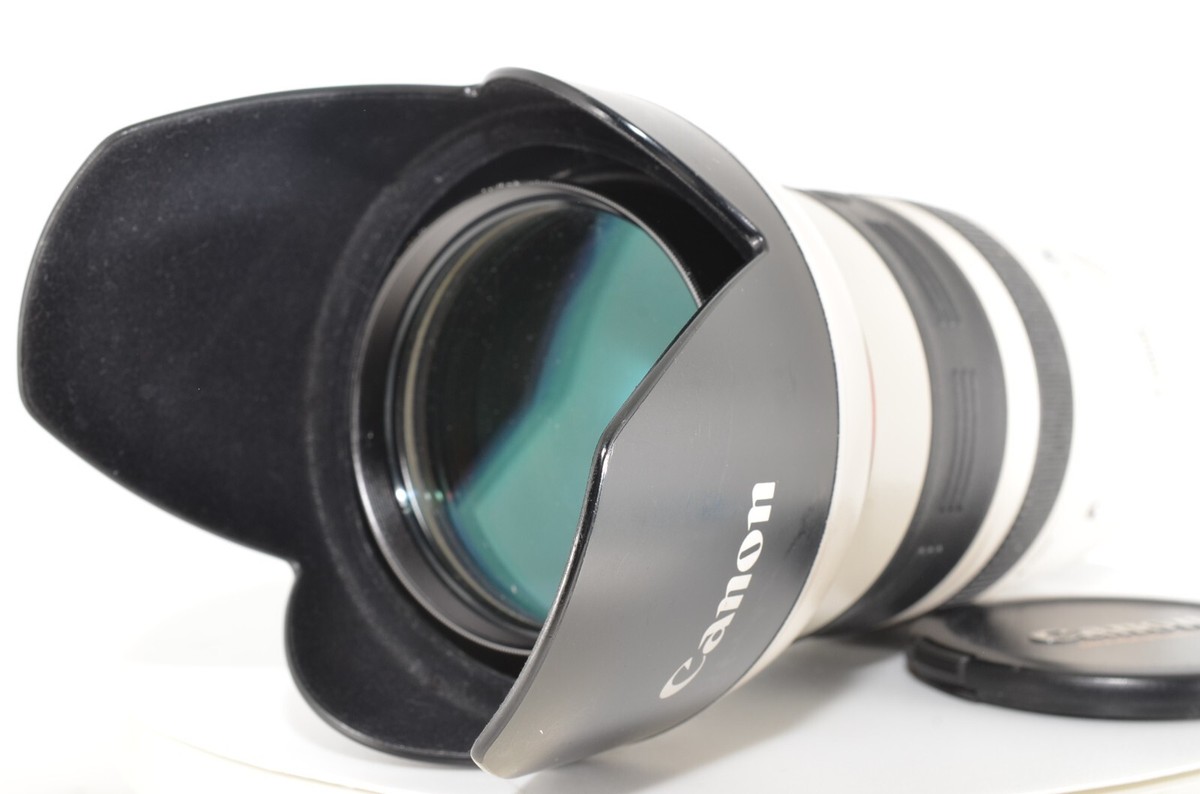 キヤノン EF 35-350mm F3.5-5.6 L USM #2473｜レンズ(ズーム) 