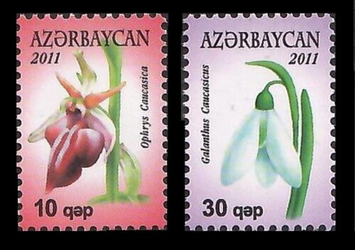 Azerbaijan 2011 * FLOWERS * Flora * FULL SET * MNH - Picture 1 of 2