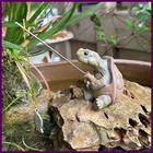 Foto 1 di 24