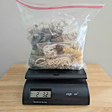 Sea Shell Jewelry Lot / Wear Craft DIY Art Repurpose