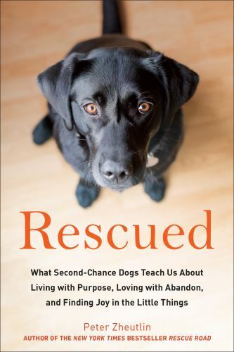 Rescued: What Second-Chance Dogs Teach Us About Living with