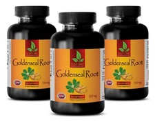 Goldenseal Root - Hydrastis 520mg Total Alkaloids Immune System 3