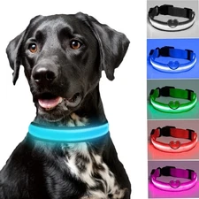 LED Dog Collar USB Rechargeable Adjustable Light Up Dog Collar Glowing Collars
