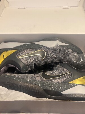 Nike love zoom brand new in the box never put on feet or tried on size 10.5 